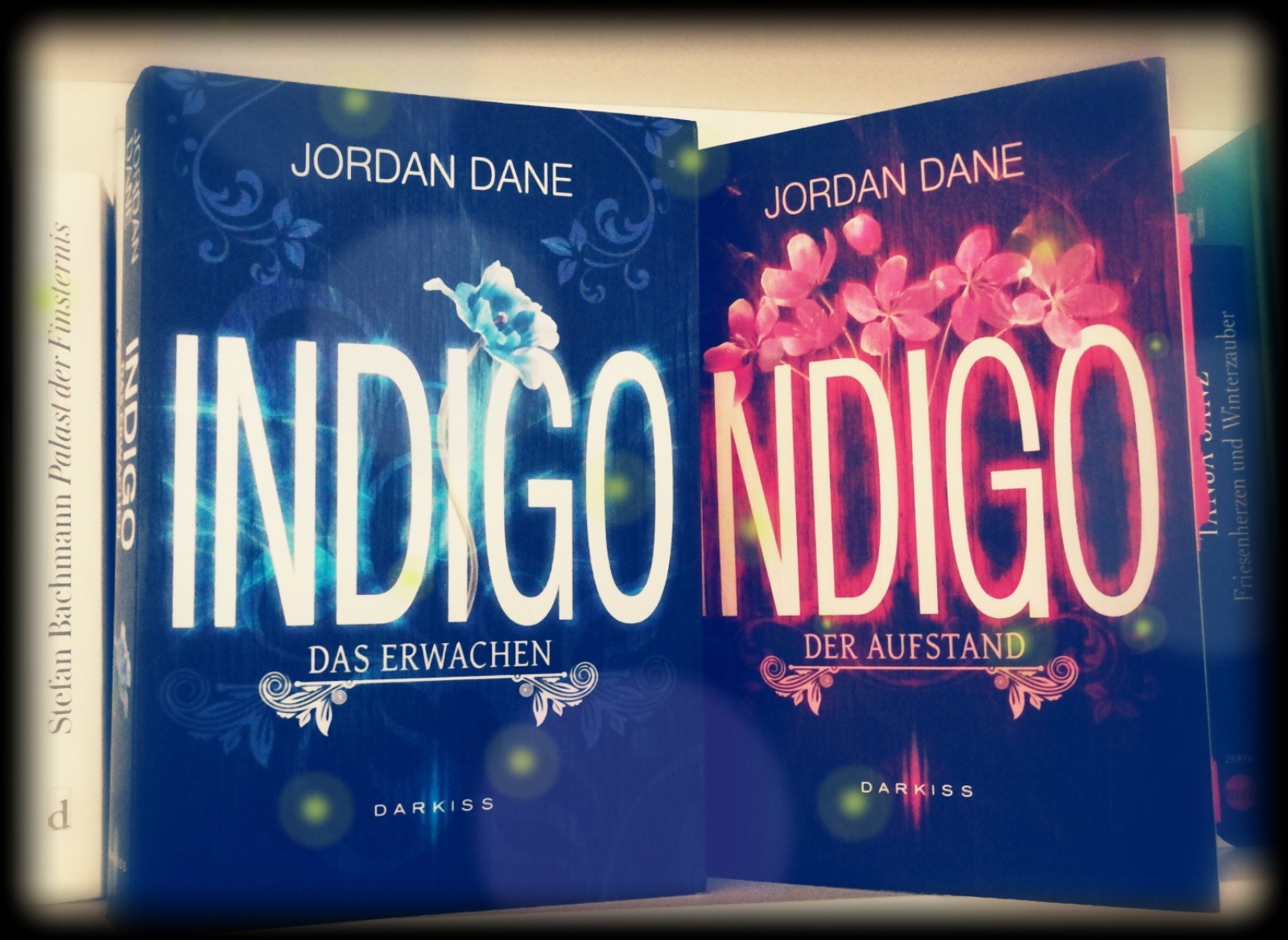 Die „Indigo“ - Dilogie von Jordan Dane - Schon mal was von Indigokindern gehört? Ja, die gibt es, also fast.