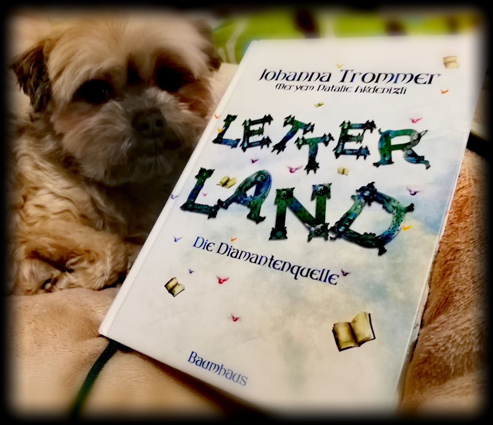 „Letterland – Die Diamantenquelle“ von Johanna Trommer & Meryem Natalie Akdenizli - Eine Welt voller lebendiger Buchstaben? Bin ich dabei, wäre da nicht der Rest.