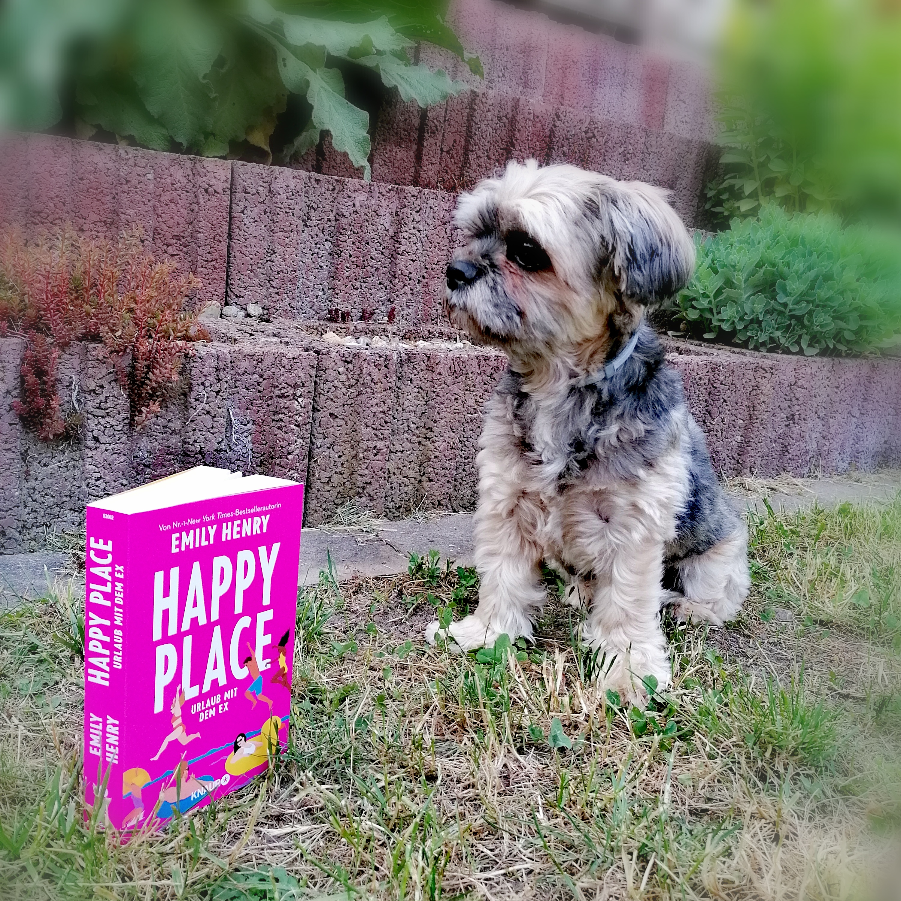 Blick ins Buch - "Happy Place - Urlaub mit dem Ex" von Emily Henry - RomCom? Da steckt mehr drin!